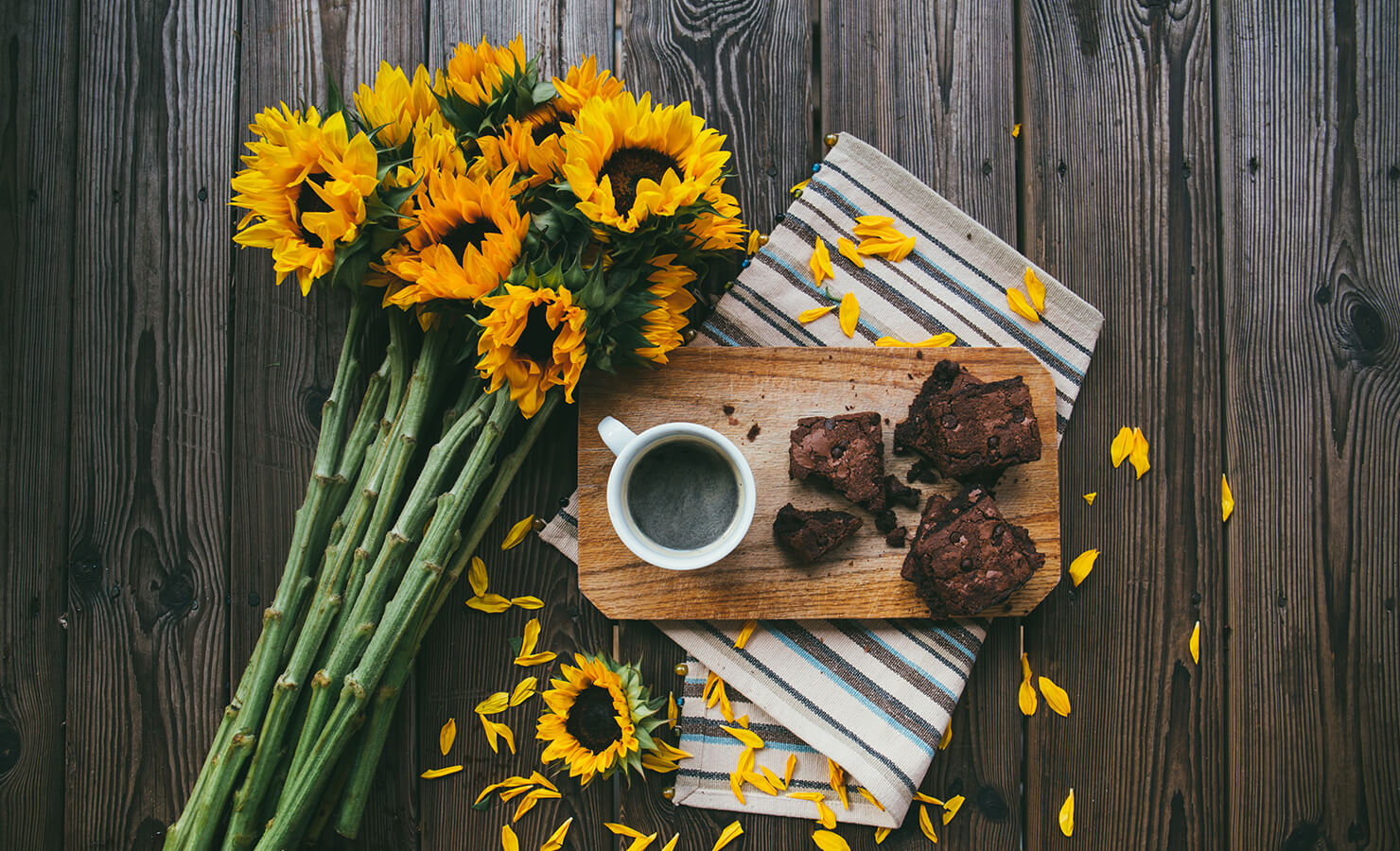 Flower meaning & symbolism - here is what you didn’t know about sunflowers