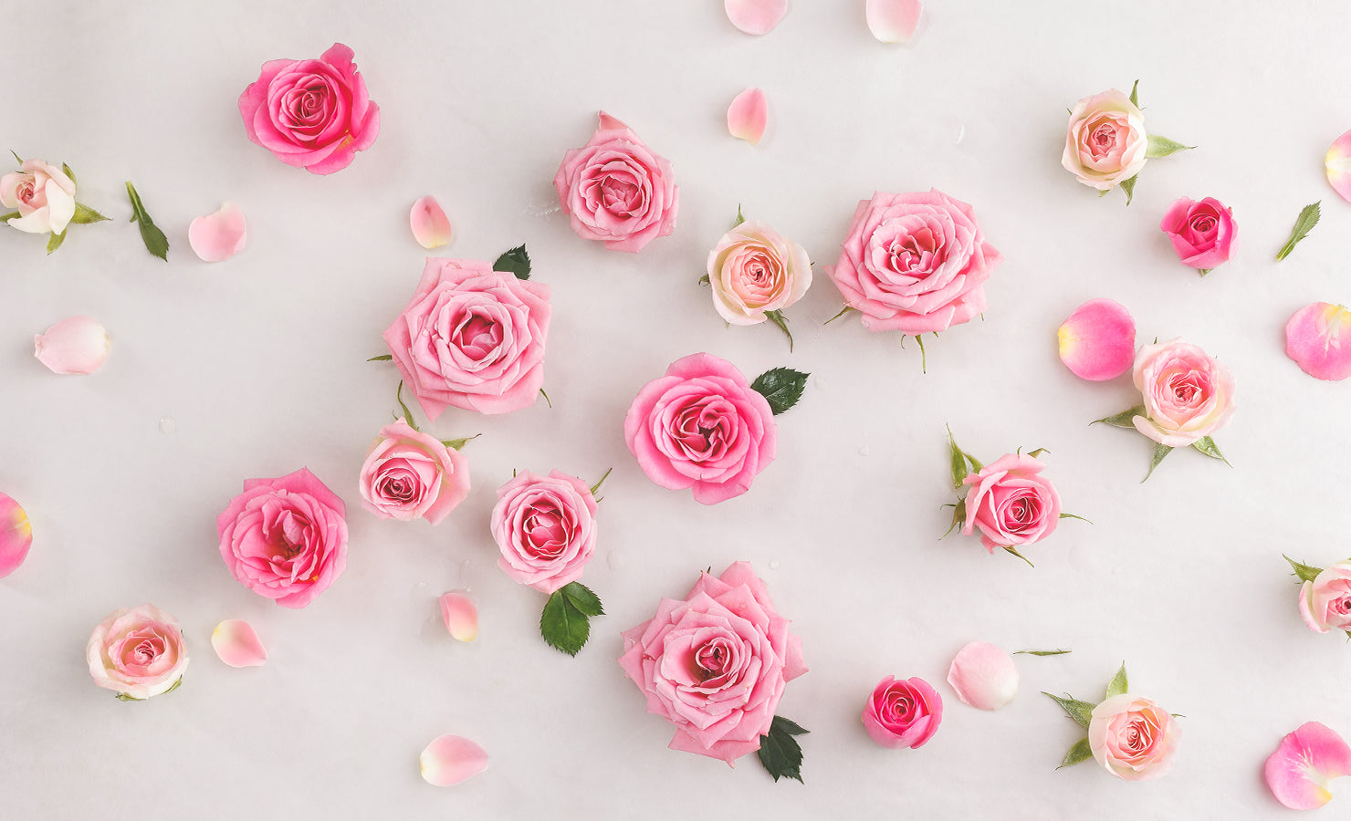 Pretty in Pink for Pink Day