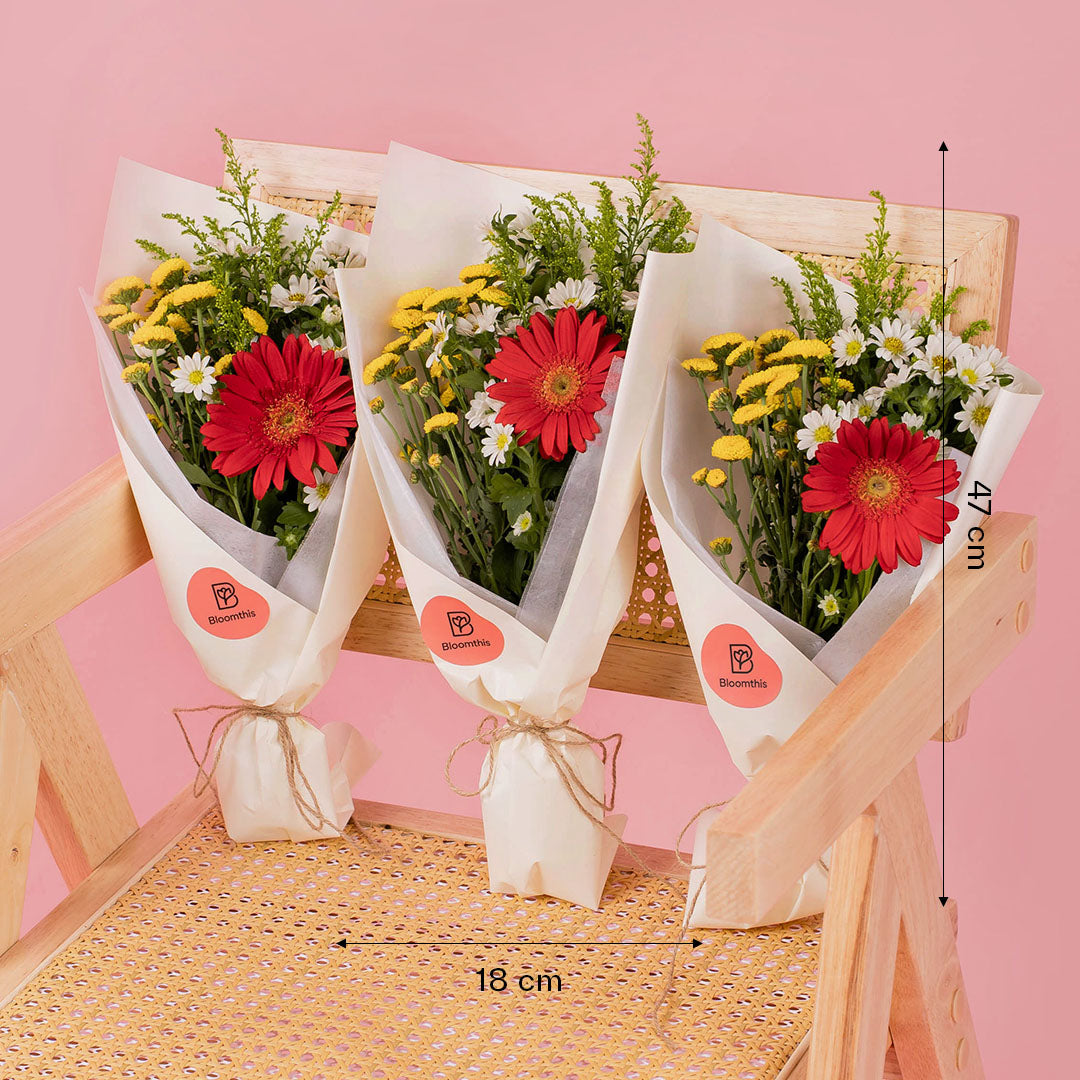bloomthis-bouquet-meadow-red-gerbera-bouquet-set-3-pcs-1080x1080-03