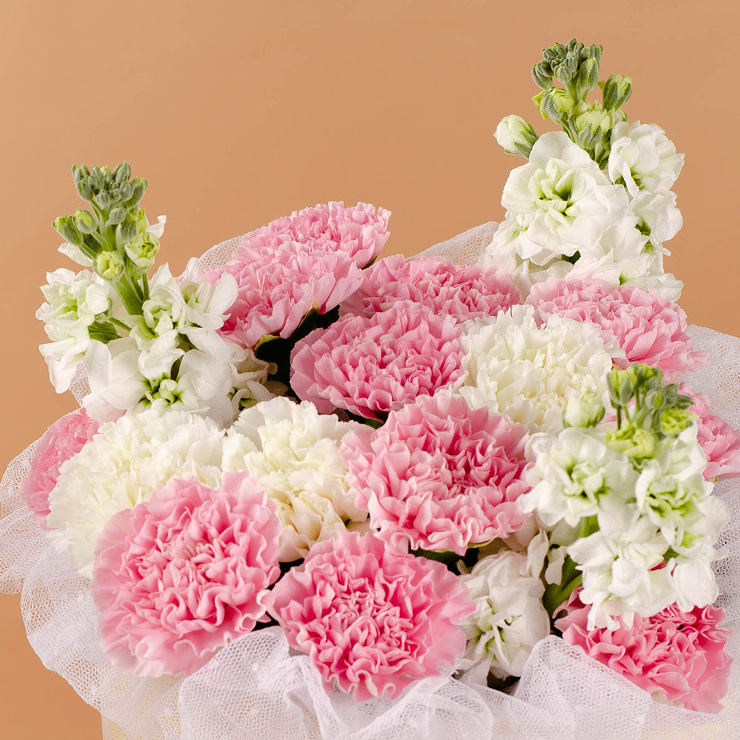 bloomthis-bouquet-miriam-pink-carnation-russian-bouquet-1080x1080-03