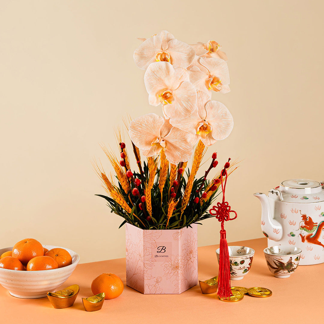 bloomthis-chinese-new-year-hat-box-longevity-apricot-cut-phalaenopsis-chinese-new-year-flower-box-2025-1080x1080-01