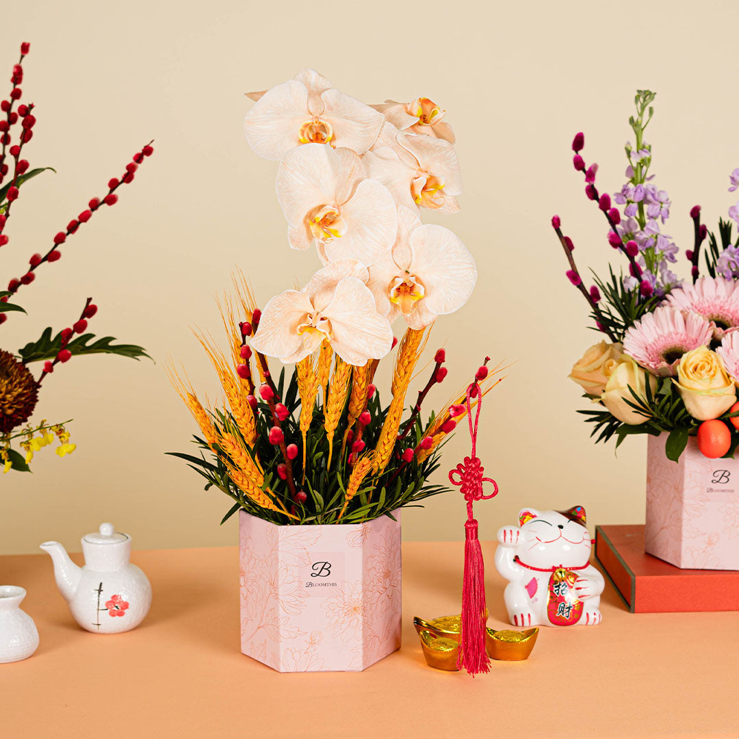 bloomthis-chinese-new-year-hat-box-longevity-apricot-cut-phalaenopsis-chinese-new-year-flower-box-2025-1080x1080-03