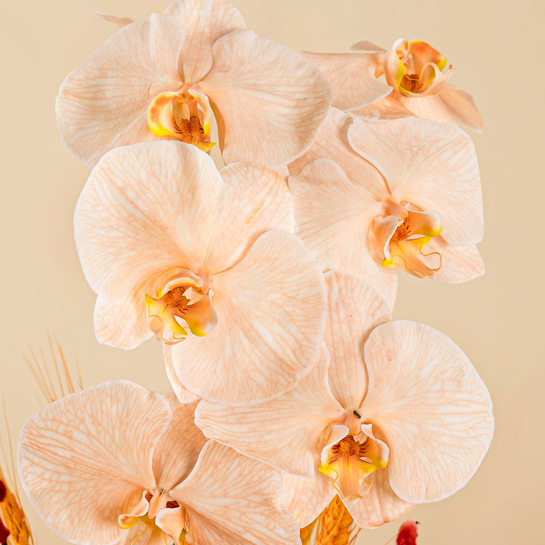 bloomthis-chinese-new-year-hat-box-longevity-apricot-cut-phalaenopsis-chinese-new-year-flower-box-2025-1080x1080-04