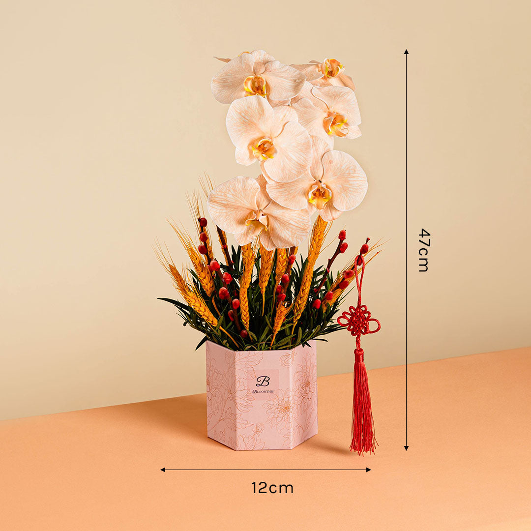 bloomthis-chinese-new-year-hat-box-longevity-apricot-cut-phalaenopsis-chinese-new-year-flower-box-2025-1080x1080-07