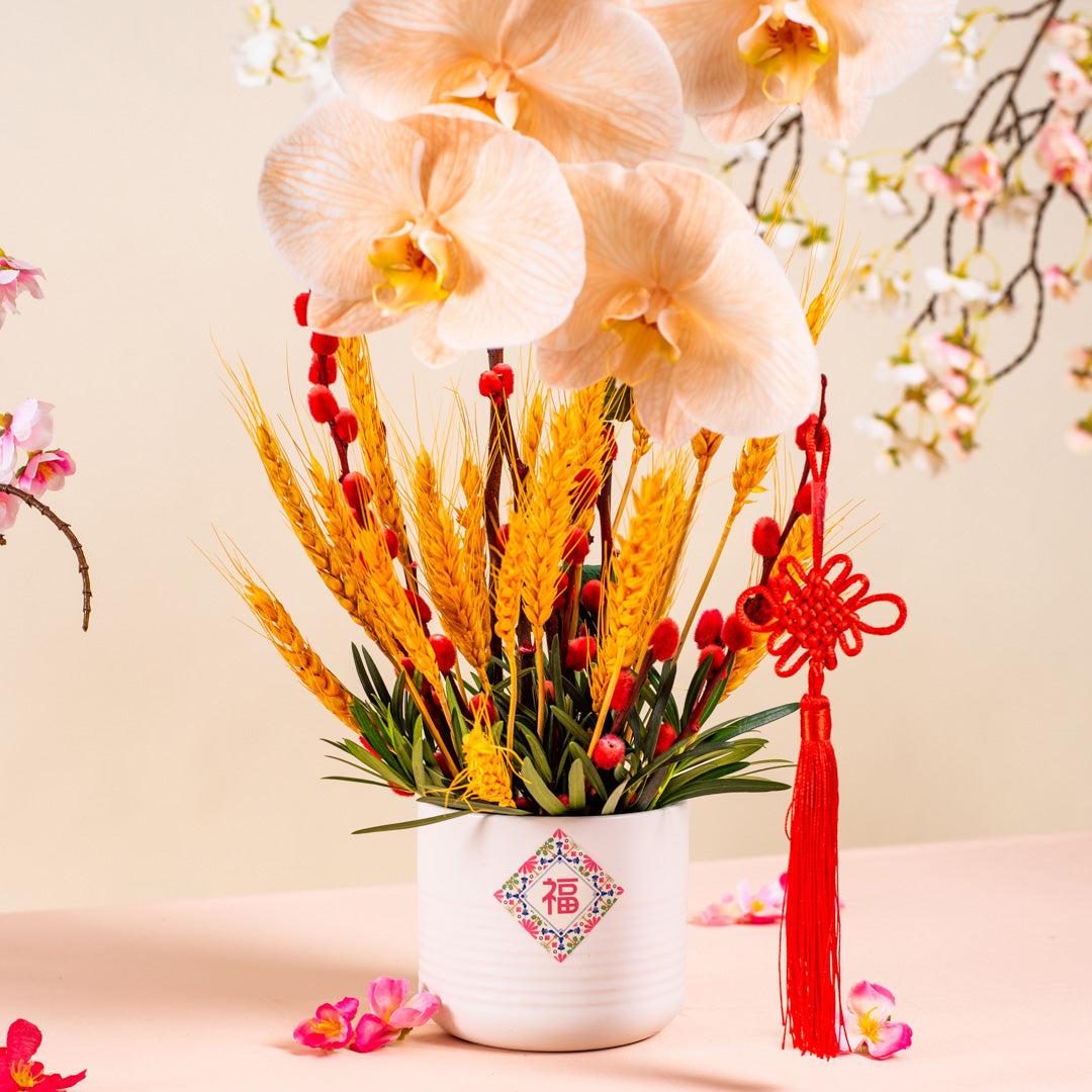 Longevity Apricot Cut Phalaenopsis Chinese New Year Flower Pot