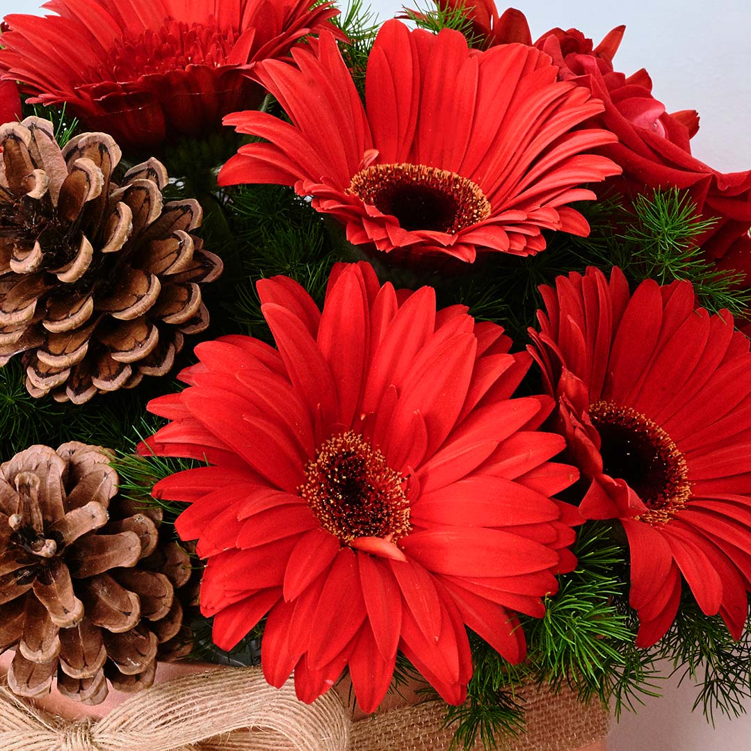 bloomthis-christmas-hat-box-angelica-red-gerbera-christmas-flower-box-1080x1080-05