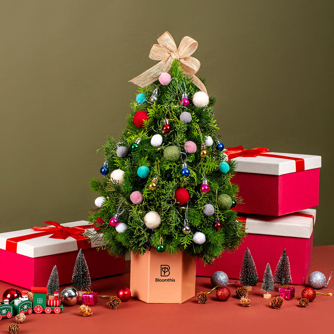 bloomthis-christmas-hat-box-jazzie-party-christmas-tree-flower-box-1080x1080-01