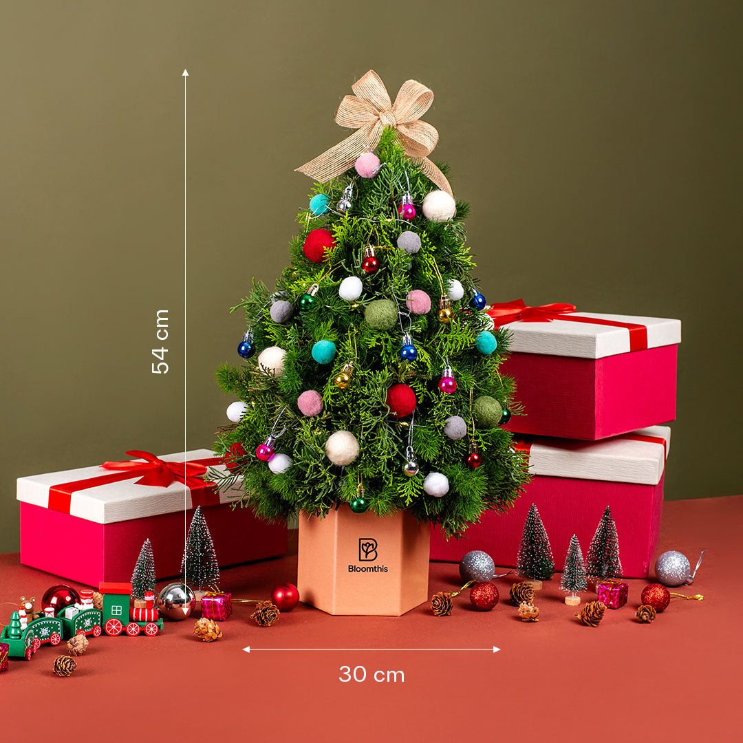 bloomthis-christmas-hat-box-jazzie-party-christmas-tree-flower-box-1080x1080-06