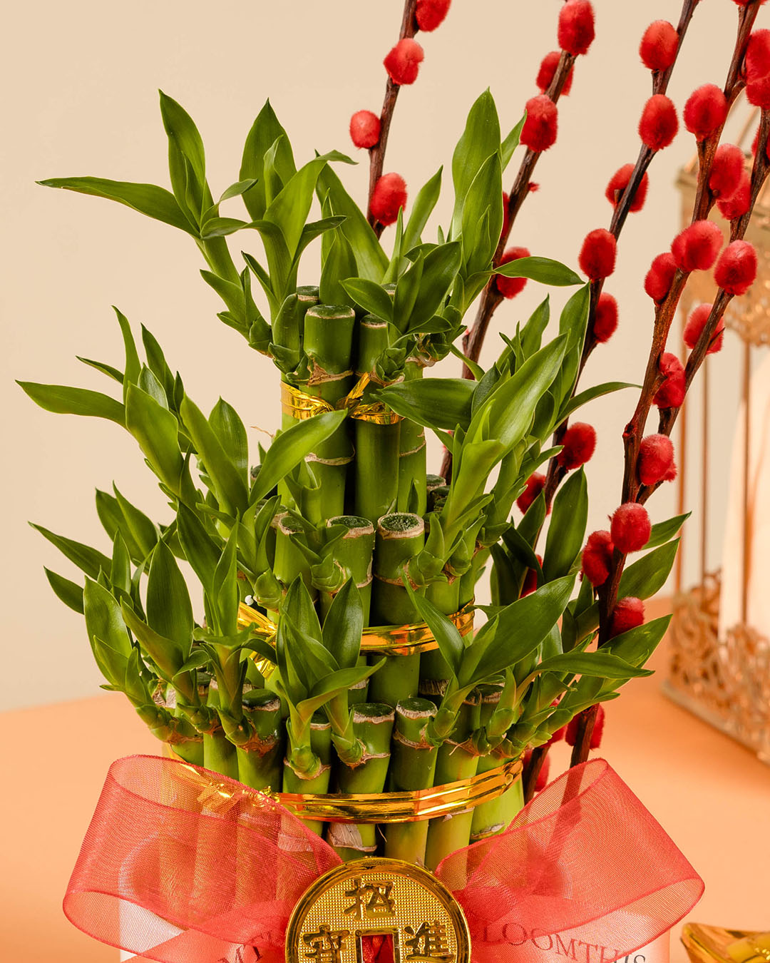 bloomthis-cny-plant-lucky-bamboo-chinese-new-year-plant-1080x1350-03