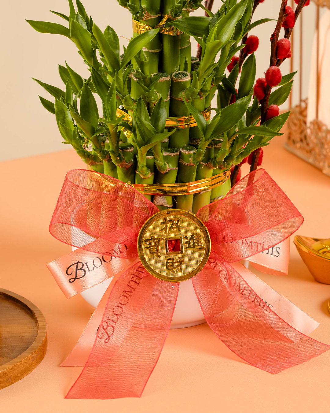 bloomthis-cny-plant-lucky-bamboo-chinese-new-year-plant-1080x1350-04