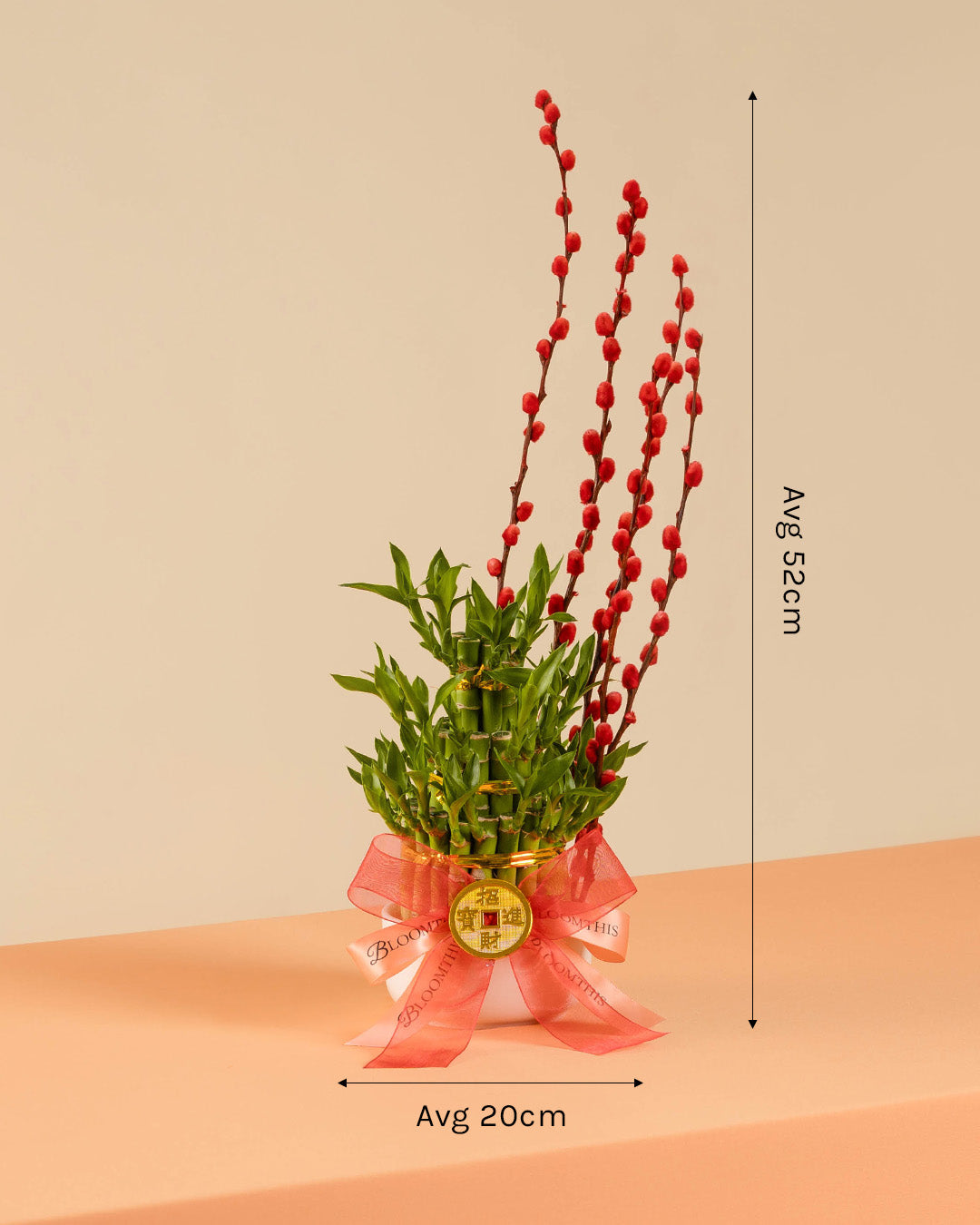 bloomthis-cny-plant-lucky-bamboo-chinese-new-year-plant-1080x1350-06