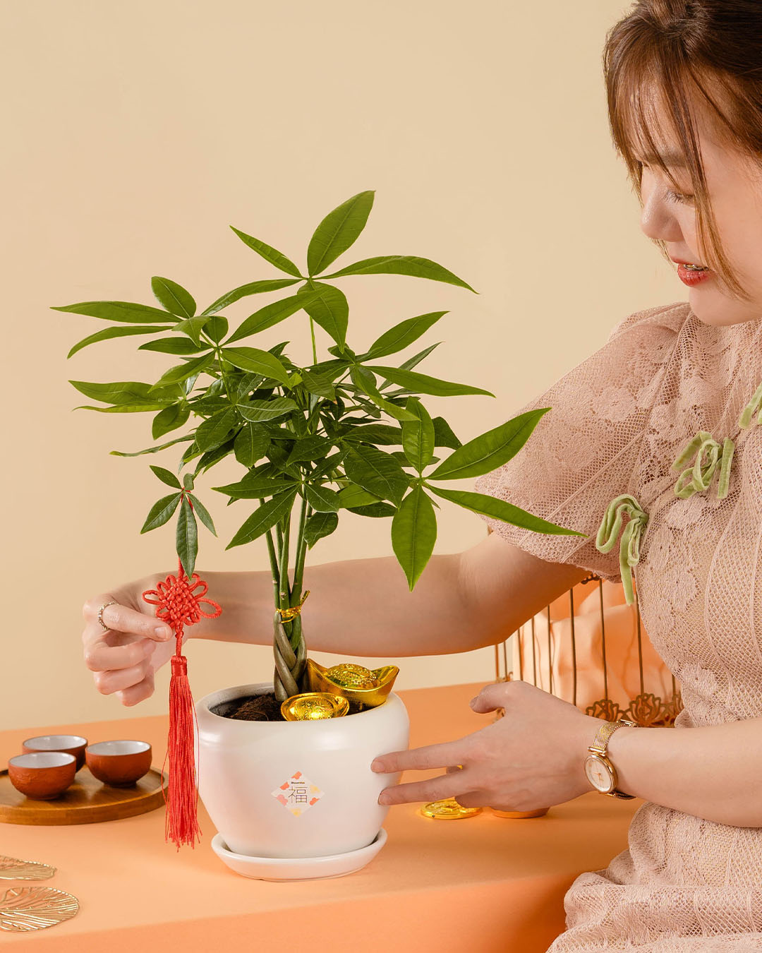 bloomthis-cny-plant-money-tree-chinese-new-year-plant-1080x1350-02
