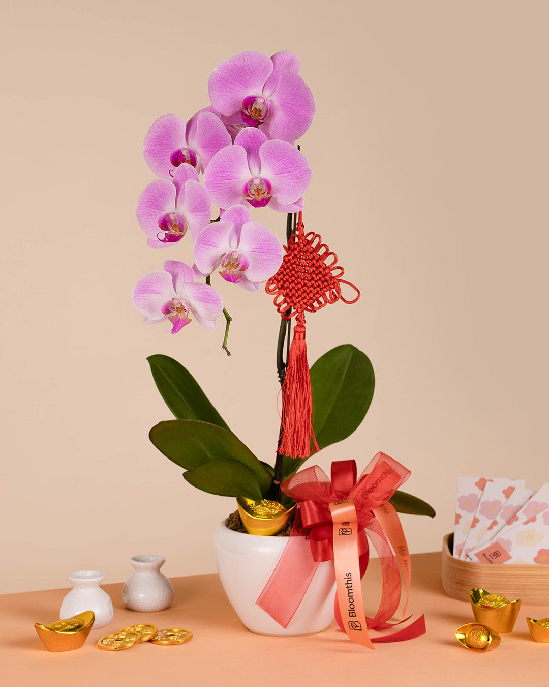 bloomthis-cny-plant-pink-cny-phalaenopsis-orchid-1-stalk-1080x1350-01