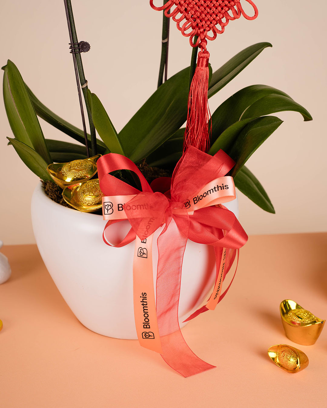 bloomthis-cny-plant-pink-cny-phalaenopsis-orchid-3-stalks-1080x1350-05