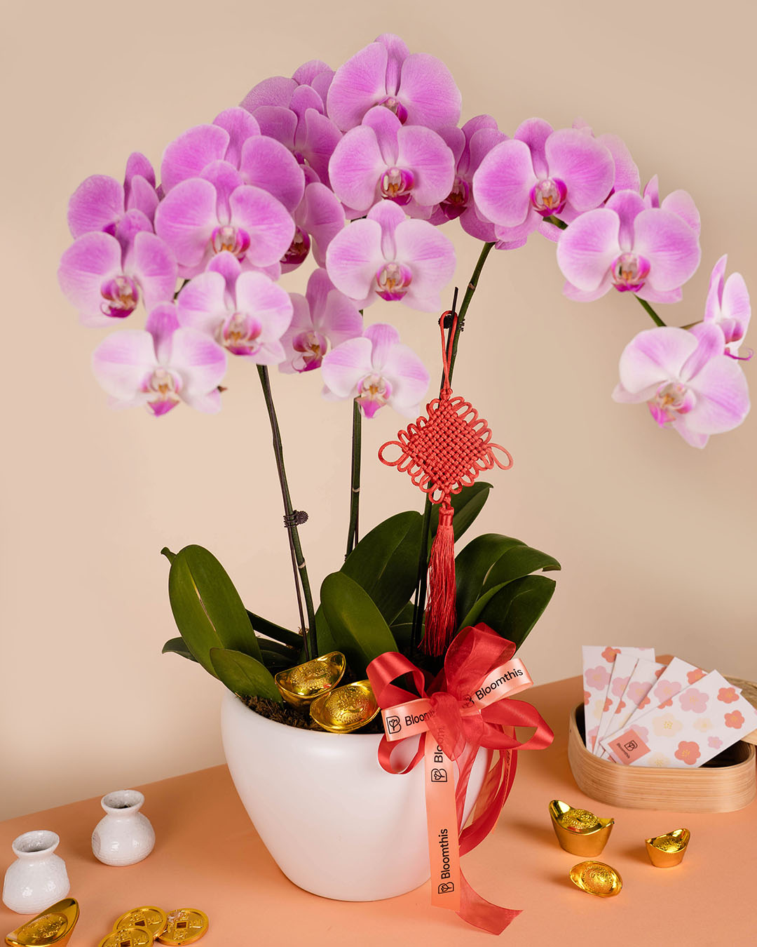 bloomthis-cny-plant-pink-cny-phalaenopsis-orchid-3-stalks-1080x1350-06