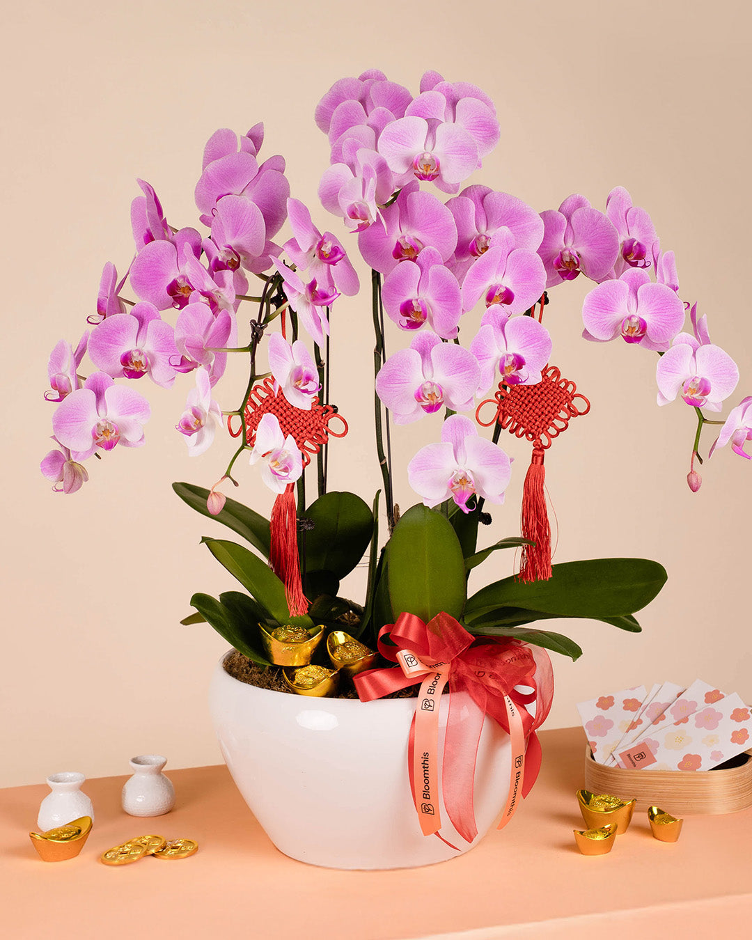 bloomthis-cny-plant-pink-cny-phalaenopsis-orchid-5-stalks-1080x1350-01