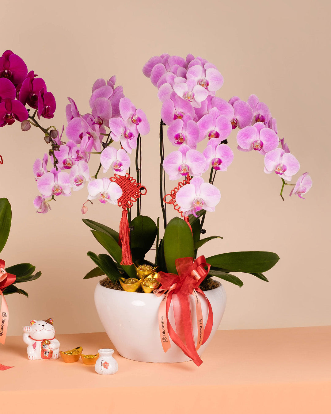bloomthis-cny-plant-pink-cny-phalaenopsis-orchid-5-stalks-1080x1350-06