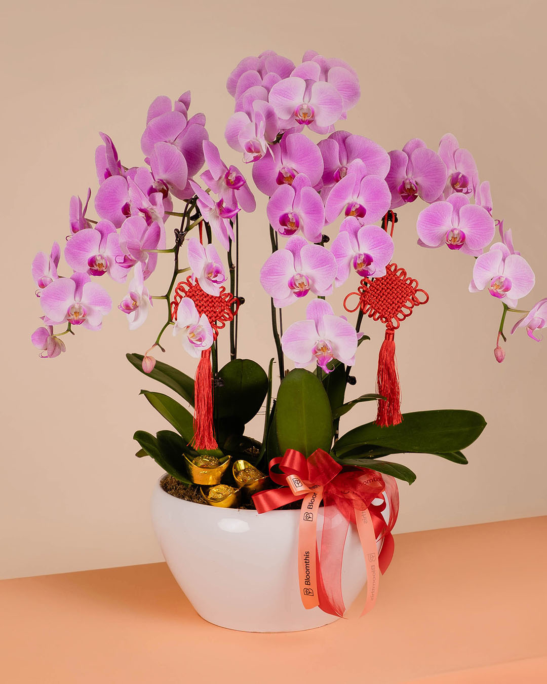 bloomthis-cny-plant-pink-cny-phalaenopsis-orchid-5-stalks-1080x1350-07