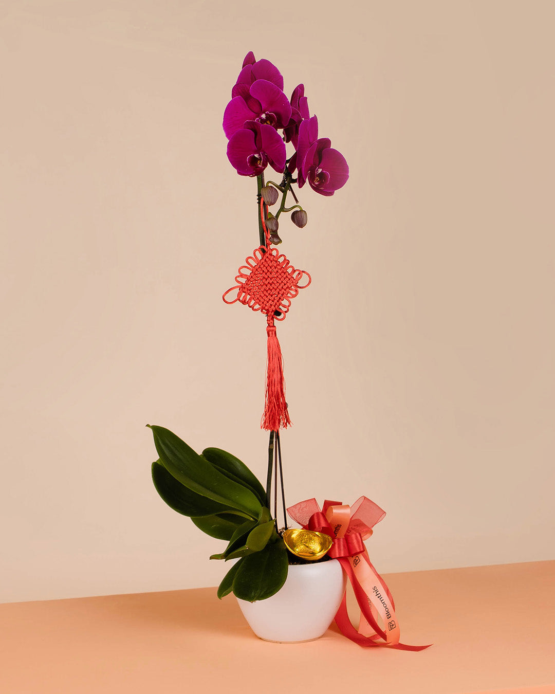 bloomthis-cny-plant-purple-cny-phalaenopsis-orchid-1-stalk-1080x1350-06