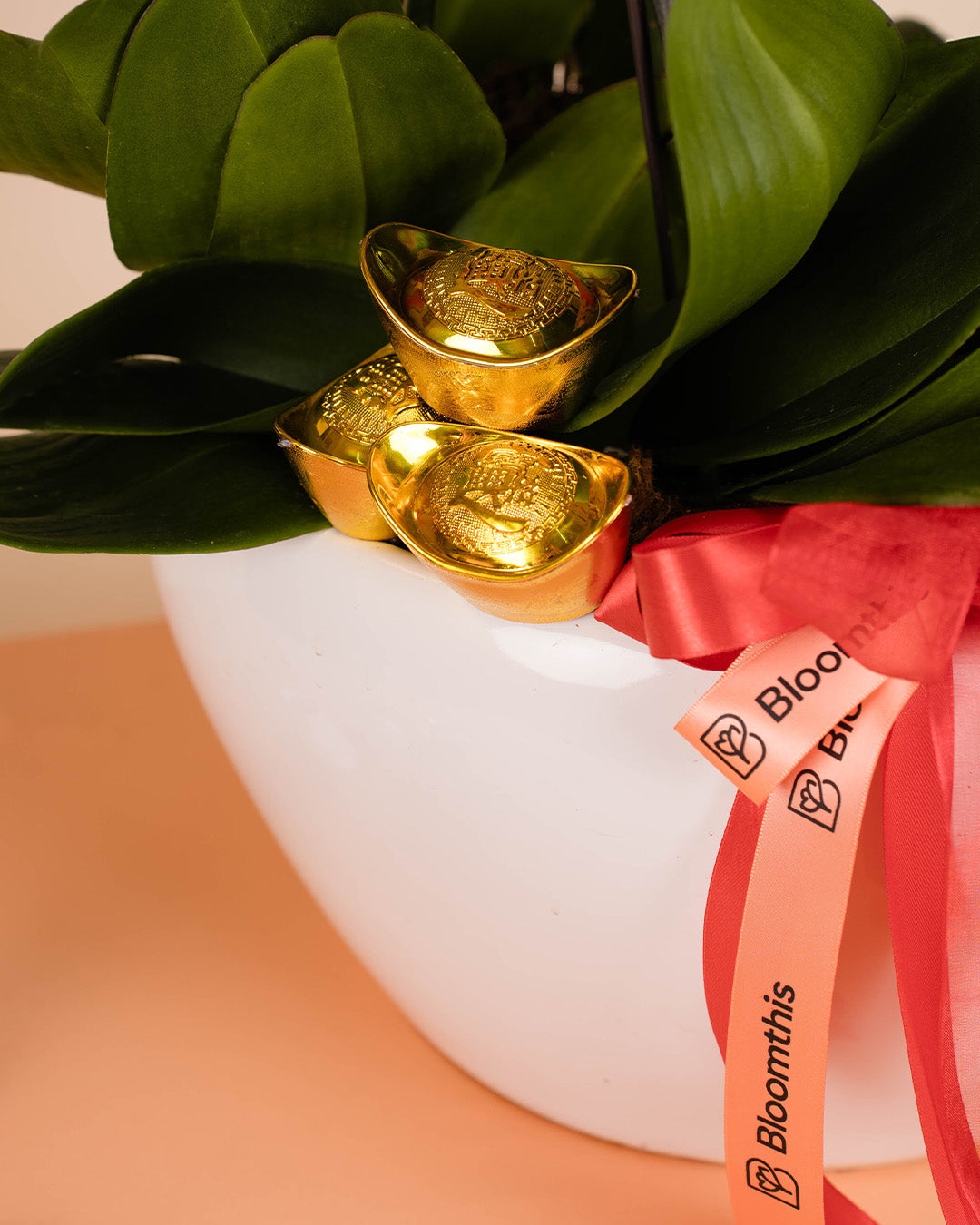 bloomthis-cny-plant-purple-cny-phalaenopsis-orchid-3-stalks-1080x1350-05