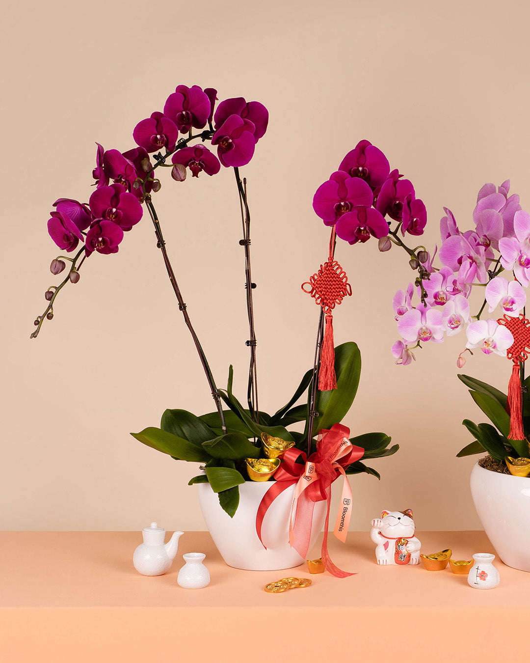 bloomthis-cny-plant-purple-cny-phalaenopsis-orchid-3-stalks-1080x1350-06