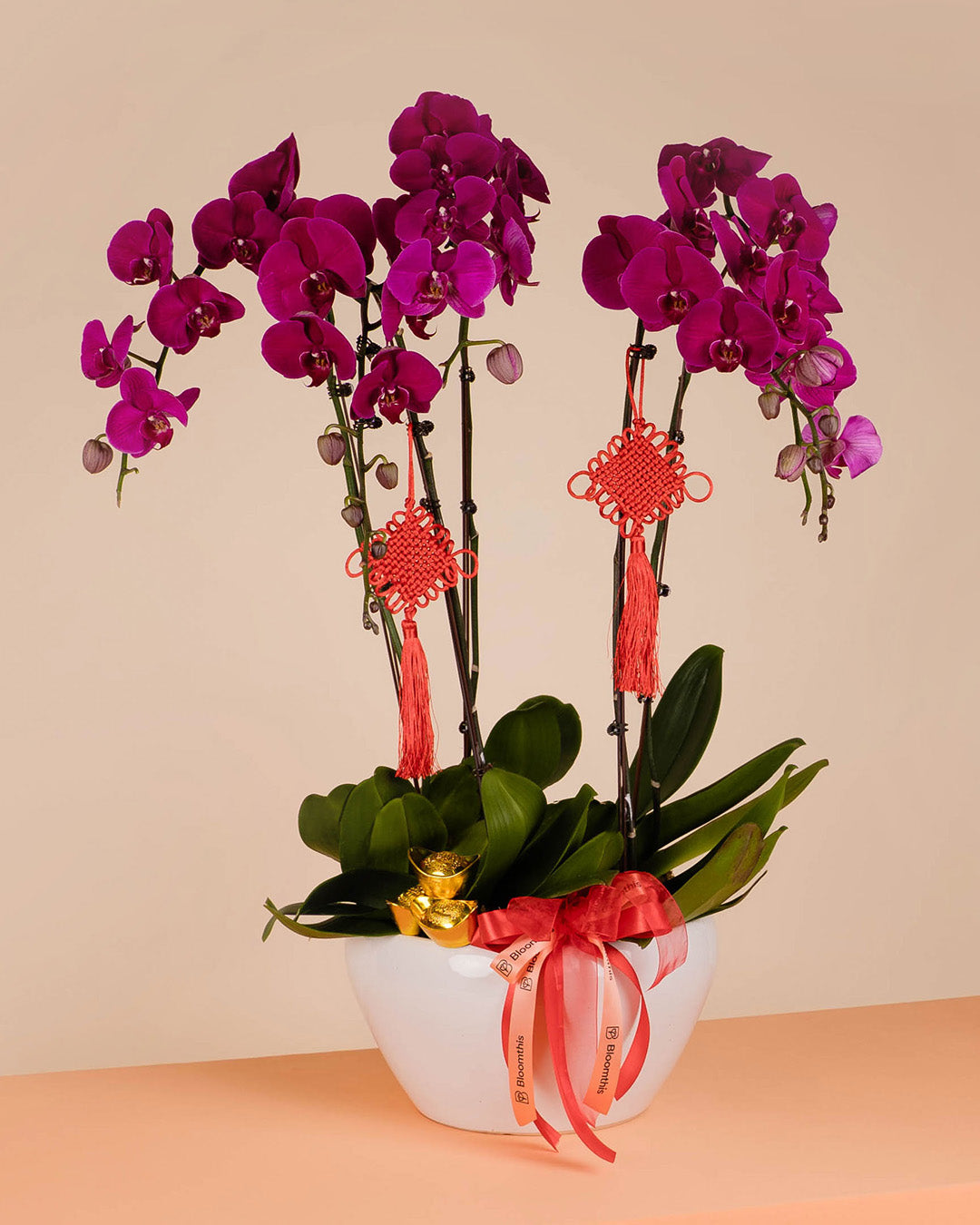 bloomthis-cny-plant-purple-cny-phalaenopsis-orchid-5-stalks-1080x1350-05