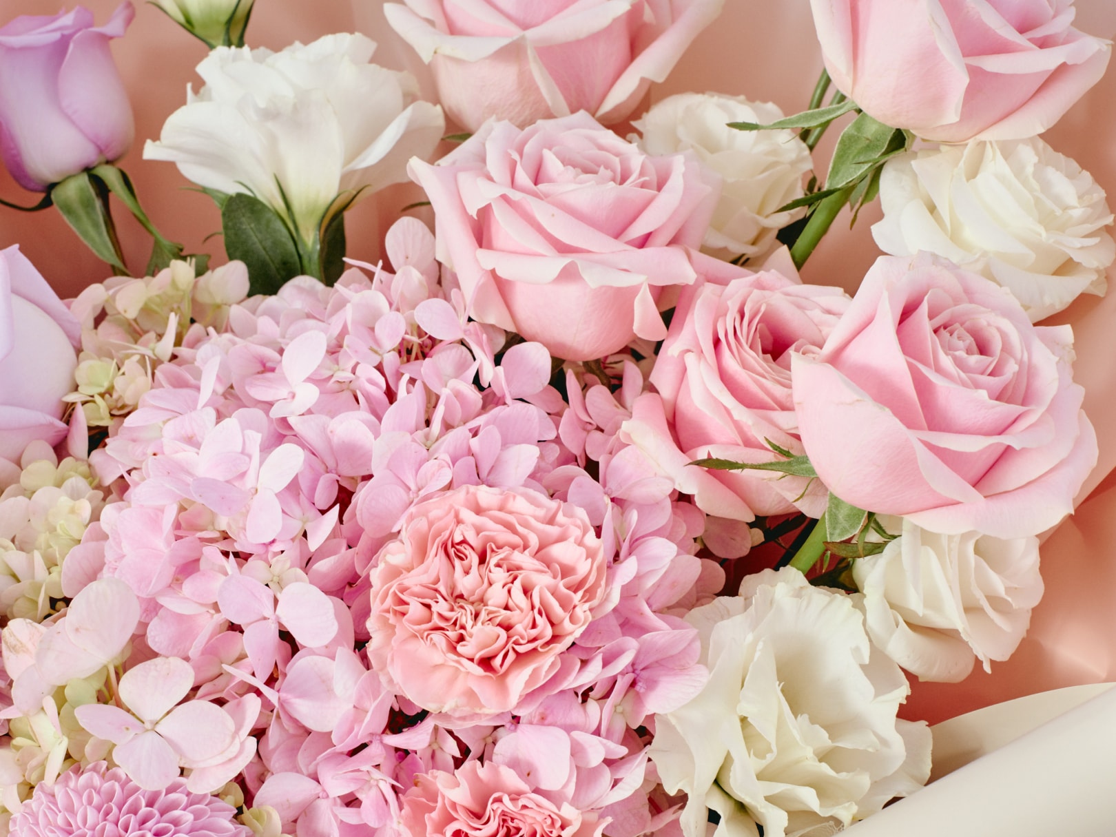 bloomthis-flower-colour-pink-usp-04-trusted-pink-flower-florist-in-malaysia