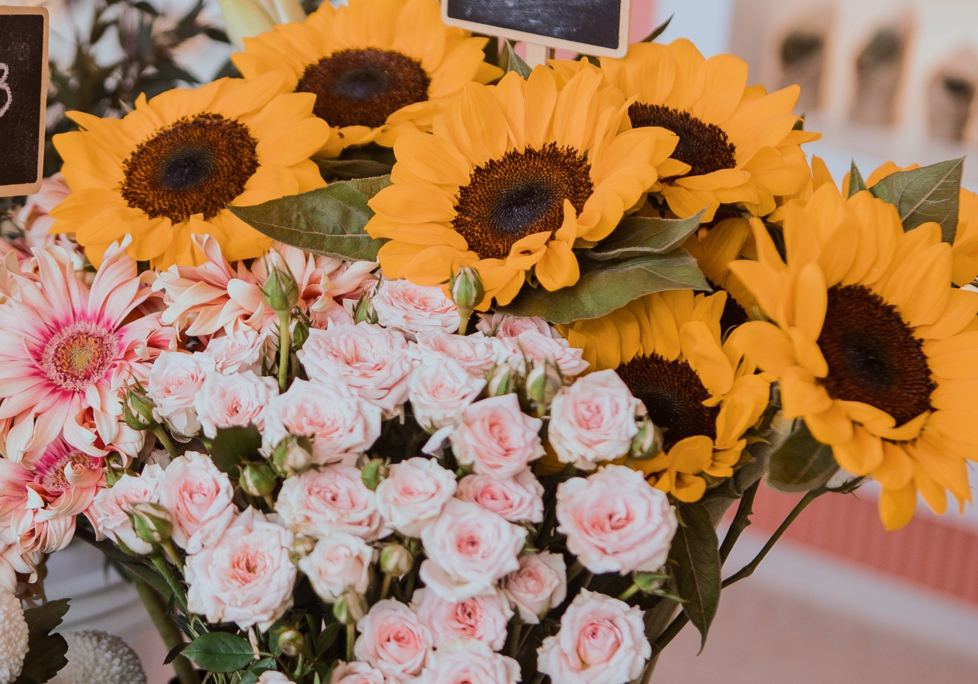bloomthis-gift-card-usp-v2-06-vaild-year-long