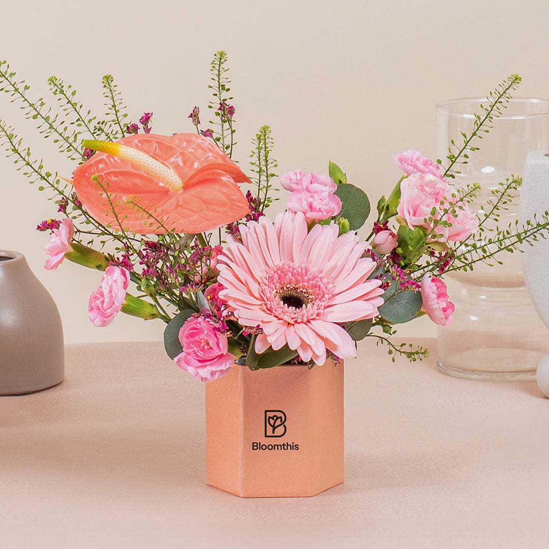 bloomthis-hat-box-ariel-gerbera-mini-flower-box-1080x1080-03_d3a284f4-0b90-4f88-b663-d9cb650a2170