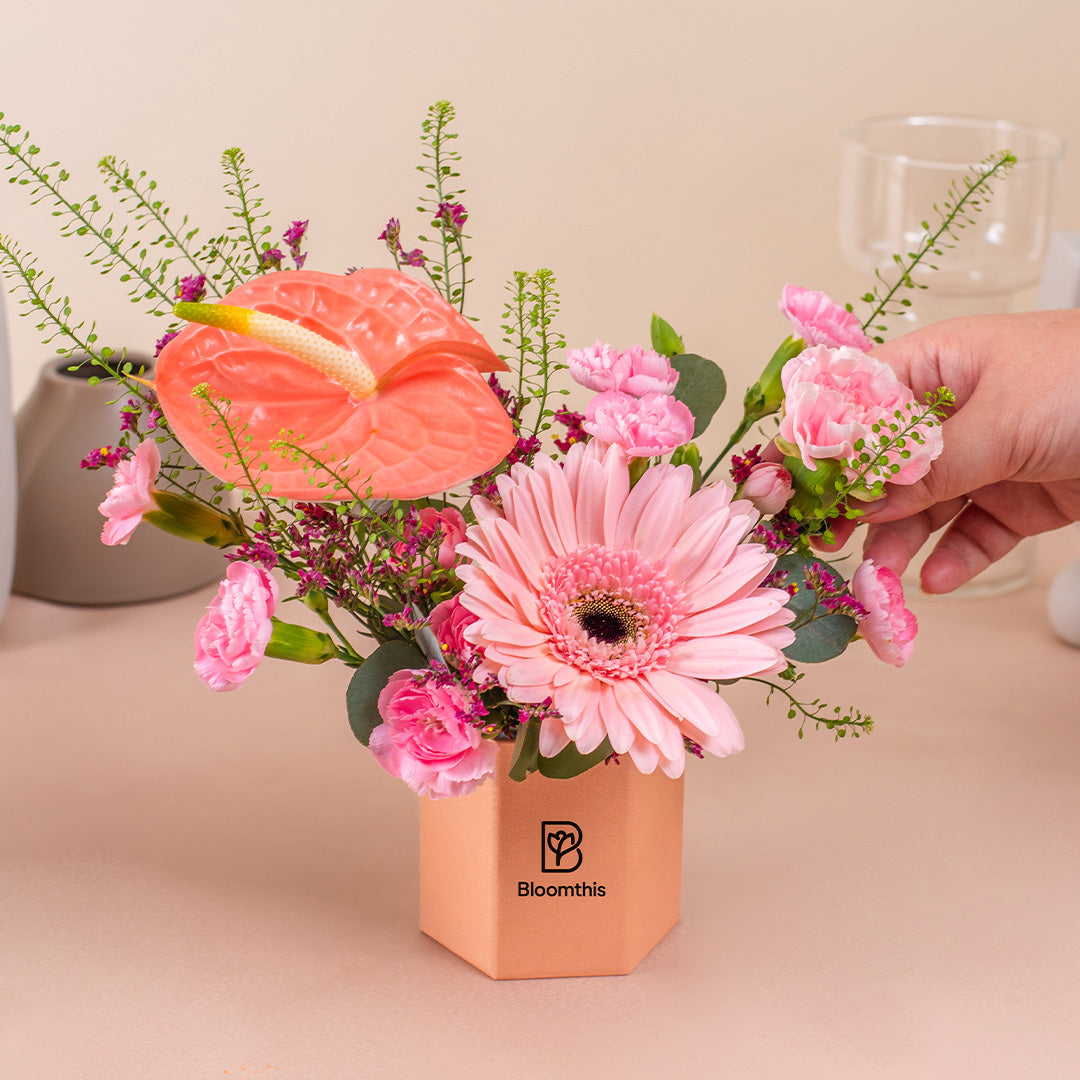 bloomthis-hat-box-ariel-gerbera-mini-flower-box-1080x1080-05_0ece1790-4874-4857-8455-648c944a7971
