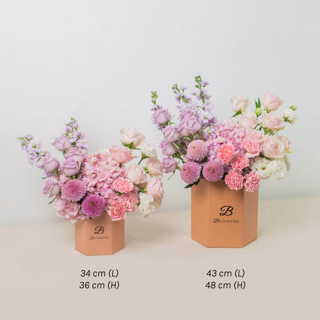 Casabella Pink Hydrangea Flower Box (VD)