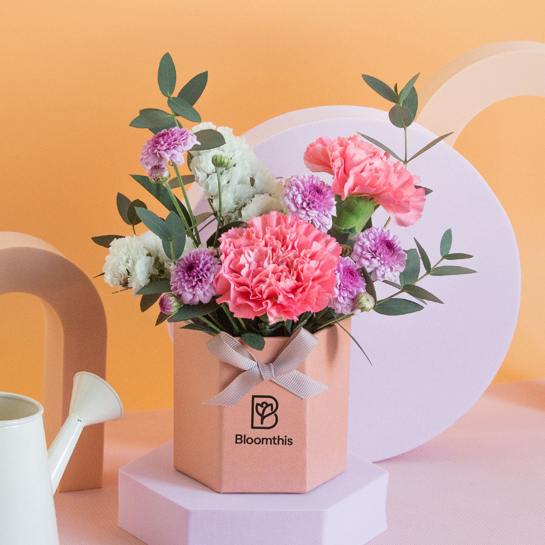 bloomthis-hat-box-chaya-carnation-mini-flower-box-1080x1080-03_a68884b1-8320-43d2-82ec-35681fed804c