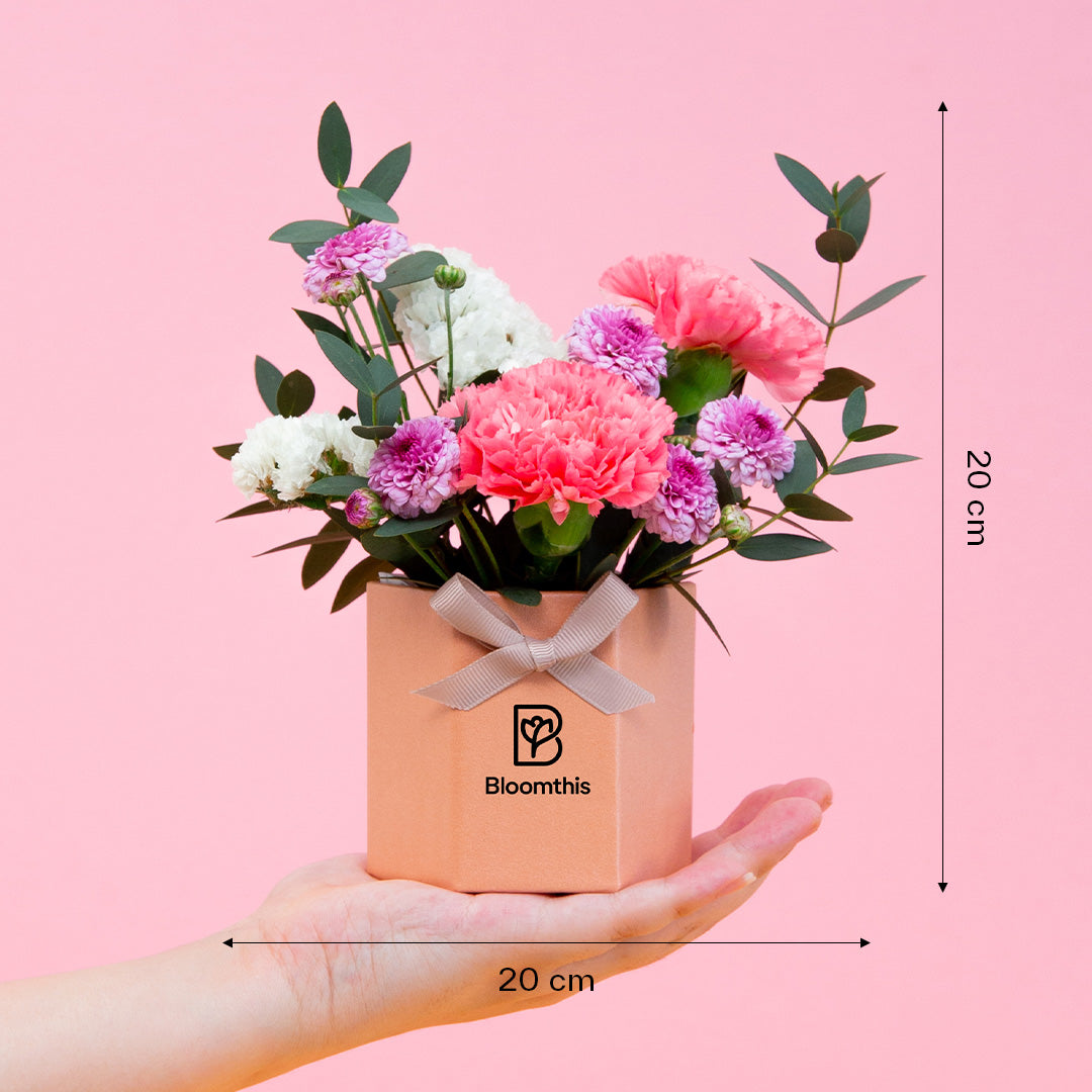 bloomthis-hat-box-chaya-carnation-mini-flower-box-1080x1080-06_251ed629-a23a-4e49-aa7f-2528a01c068d