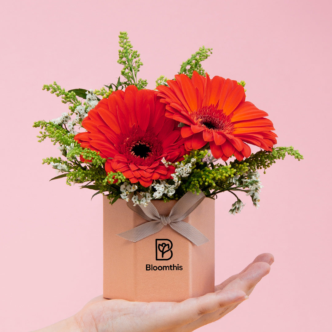 bloomthis-hat-box-fabuelo-gerbera-mini-flower-box-1080x1080-01_0eb4185e-155f-47ec-97a6-e99ae474f177