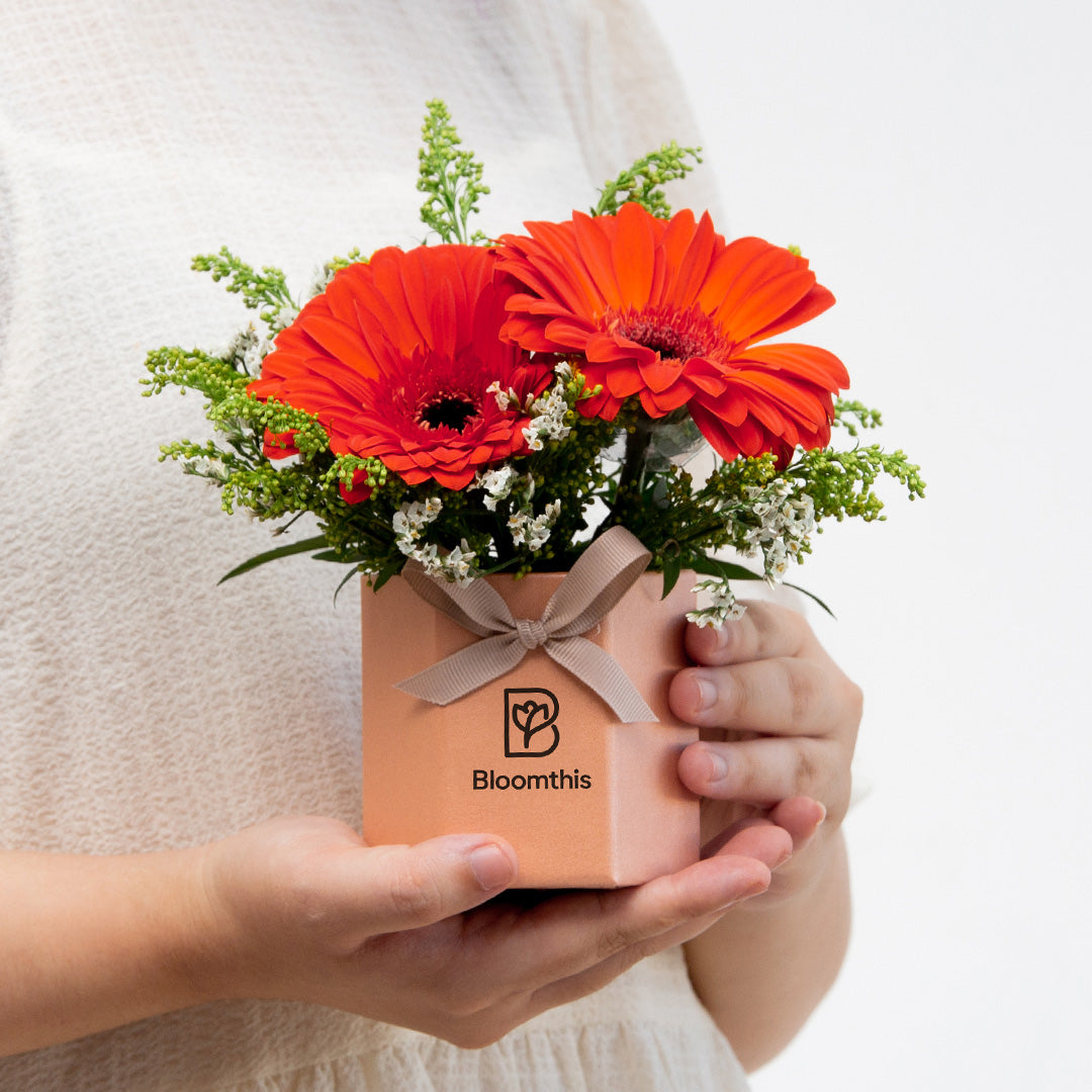 bloomthis-hat-box-fabuelo-gerbera-mini-flower-box-1080x1080-02_7a0f7dfe-5511-406d-9ffe-999502d41fb0