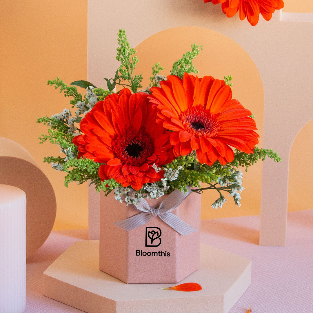 bloomthis-hat-box-fabuelo-gerbera-mini-flower-box-1080x1080-03_2ffa3738-b686-417c-9f75-482dfd310bda