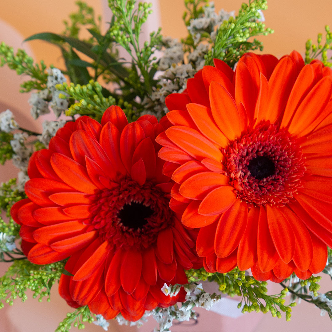 bloomthis-hat-box-fabuelo-gerbera-mini-flower-box-1080x1080-04_22b6b07e-d255-40fb-8e01-dba6580150b4