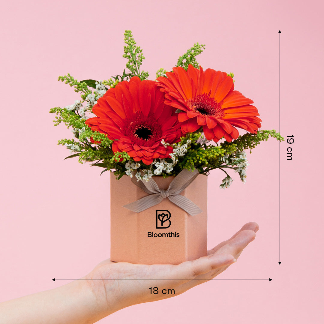 bloomthis-hat-box-fabuelo-gerbera-mini-flower-box-1080x1080-05_fac85735-c98c-4415-8c33-5940074dbbbf