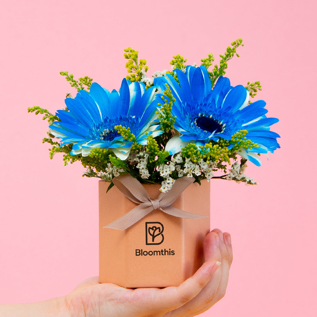 bloomthis-hat-box-francisco-gerbera-mini-flower-box-1080x1080-01_8c9128ce-f3a3-4cec-ae16-2609b78a27dd