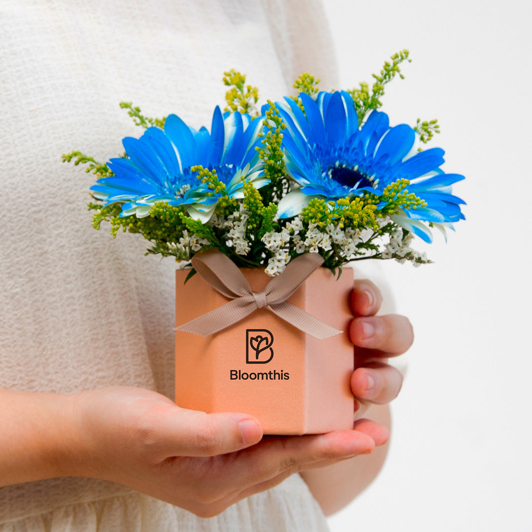 bloomthis-hat-box-francisco-gerbera-mini-flower-box-1080x1080-02_deed720e-fd8e-4b15-8e24-3606e46642d5