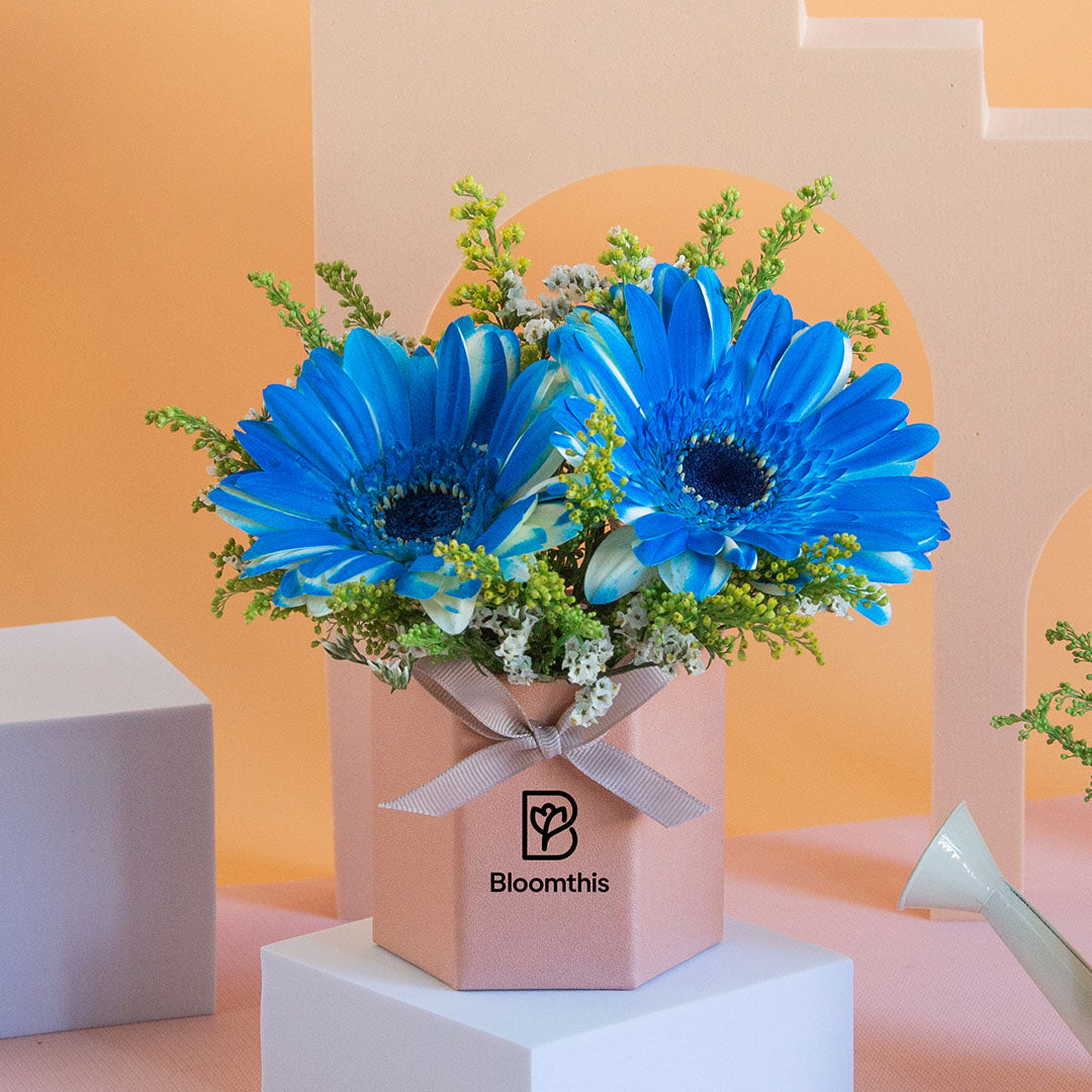 bloomthis-hat-box-francisco-gerbera-mini-flower-box-1080x1080-03_666f653f-bd72-4213-89a7-82f6d1325128