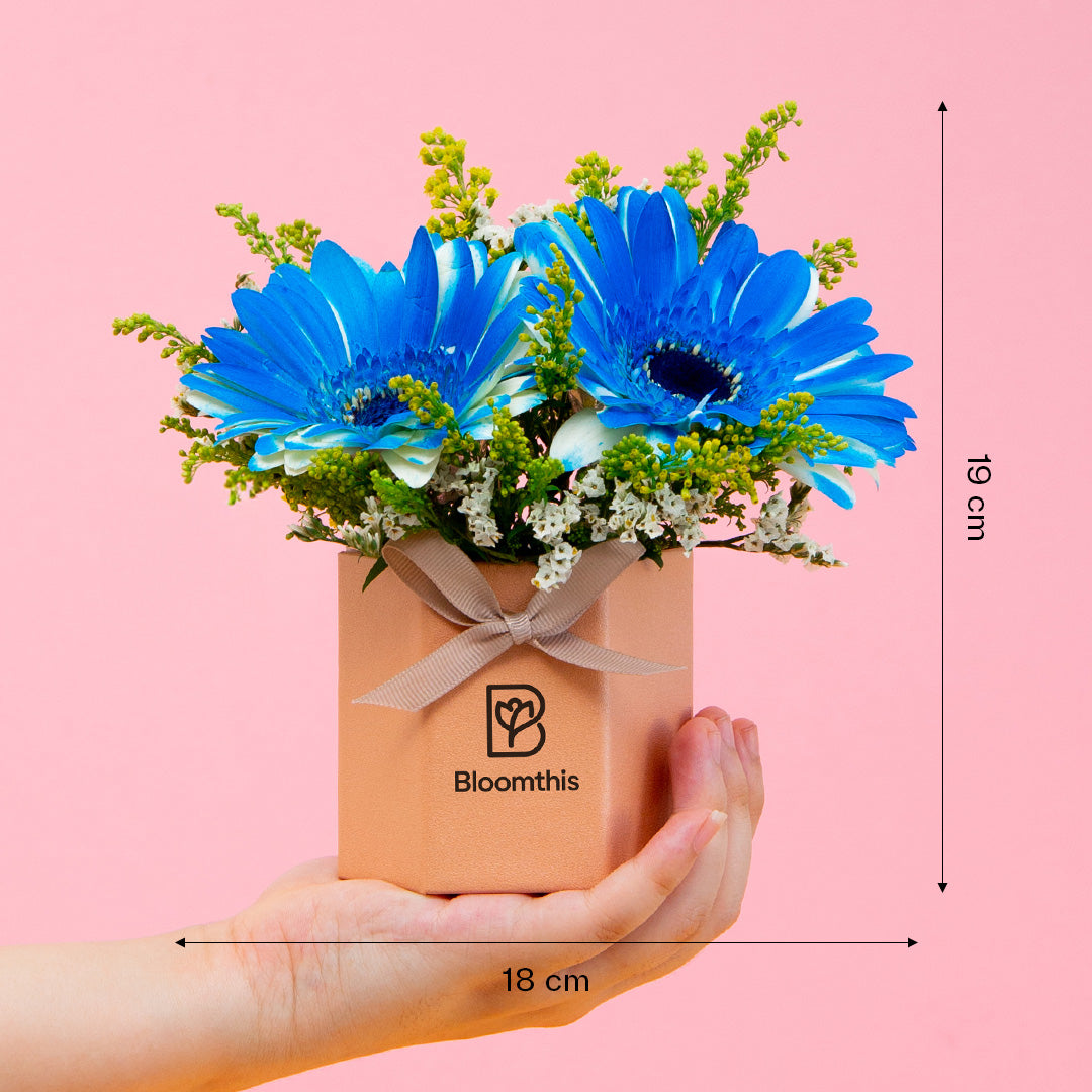 bloomthis-hat-box-francisco-gerbera-mini-flower-box-1080x1080-05_30fabb3c-5a98-492d-91a4-0d7aba525a51