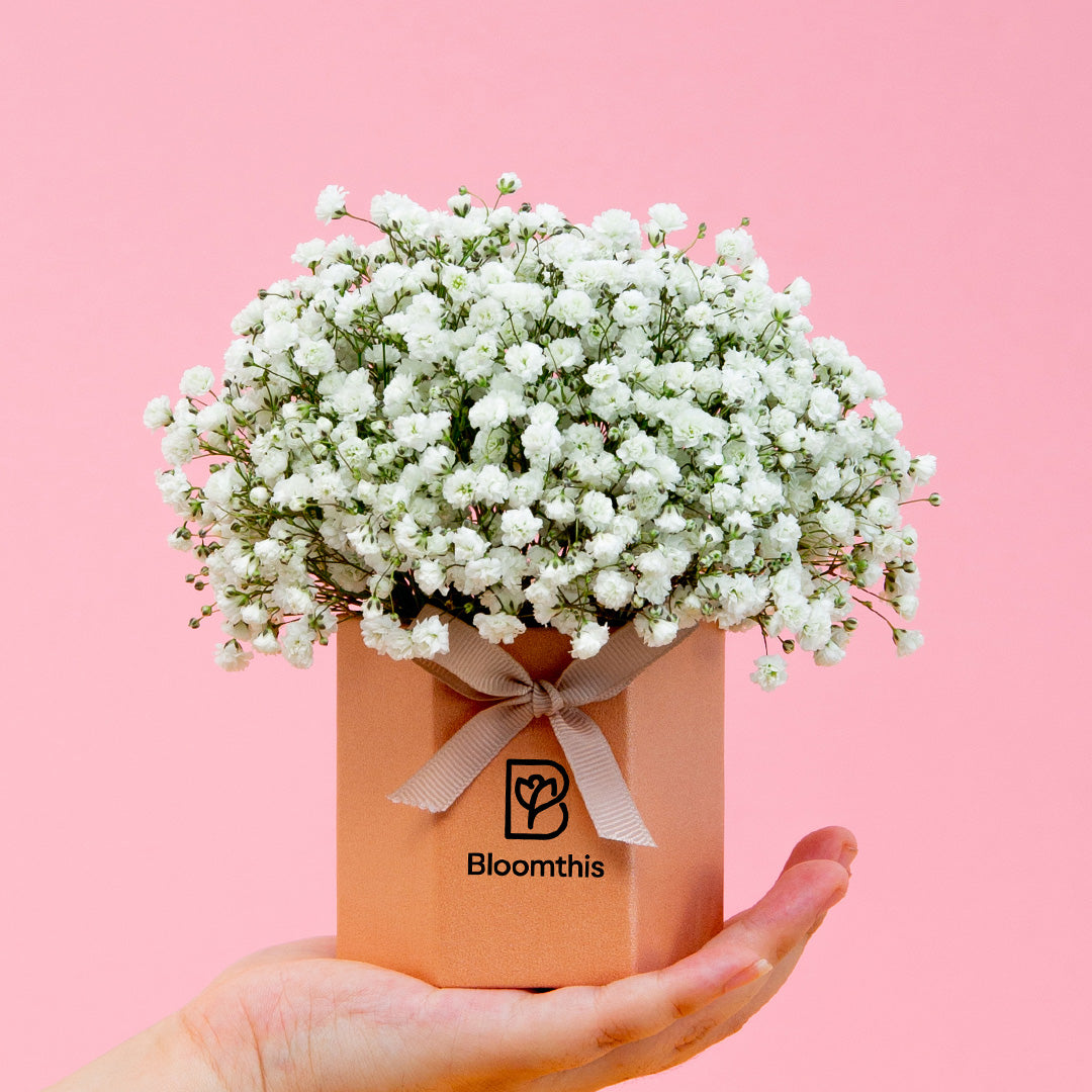 bloomthis-hat-box-joyful-babys-breath-mini-flower-box-1080x1080-01