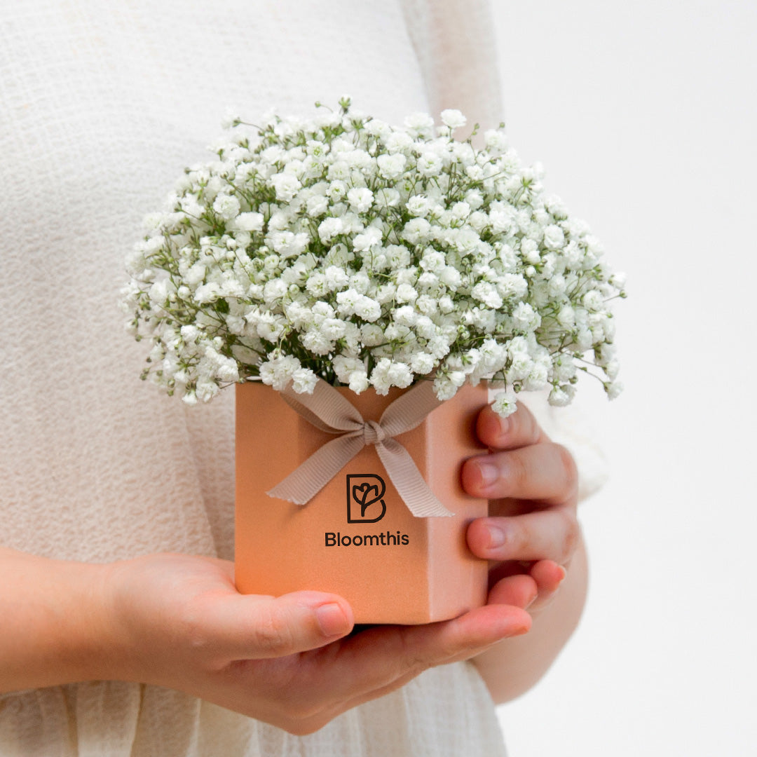 bloomthis-hat-box-joyful-babys-breath-mini-flower-box-1080x1080-02