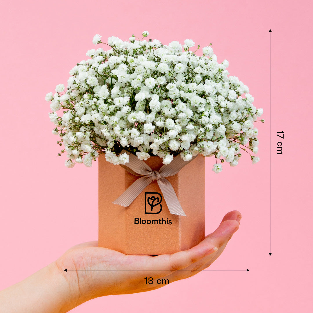 bloomthis-hat-box-joyful-babys-breath-mini-flower-box-1080x1080-05