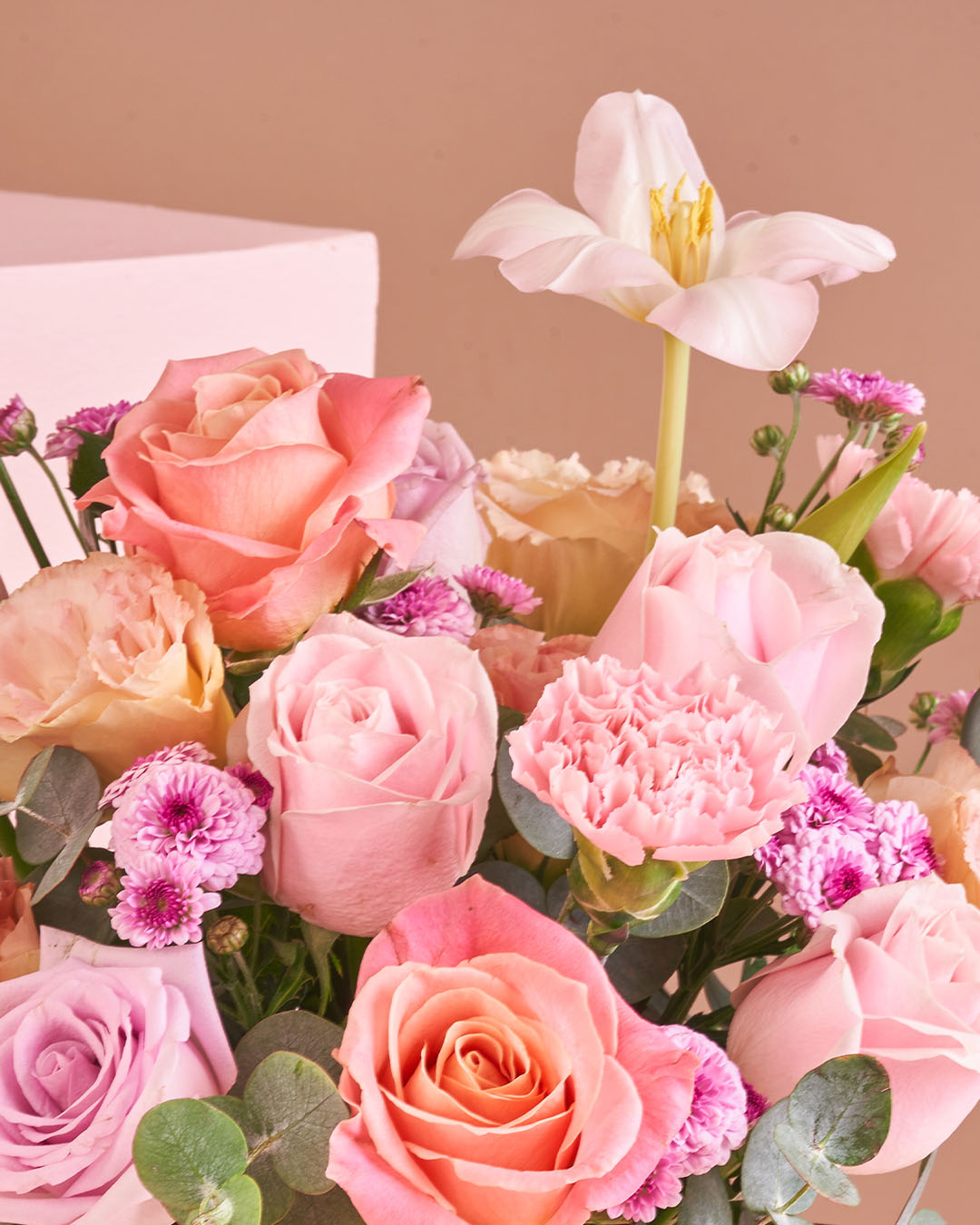 Orson BloomThis x Mimpikita Flower Box