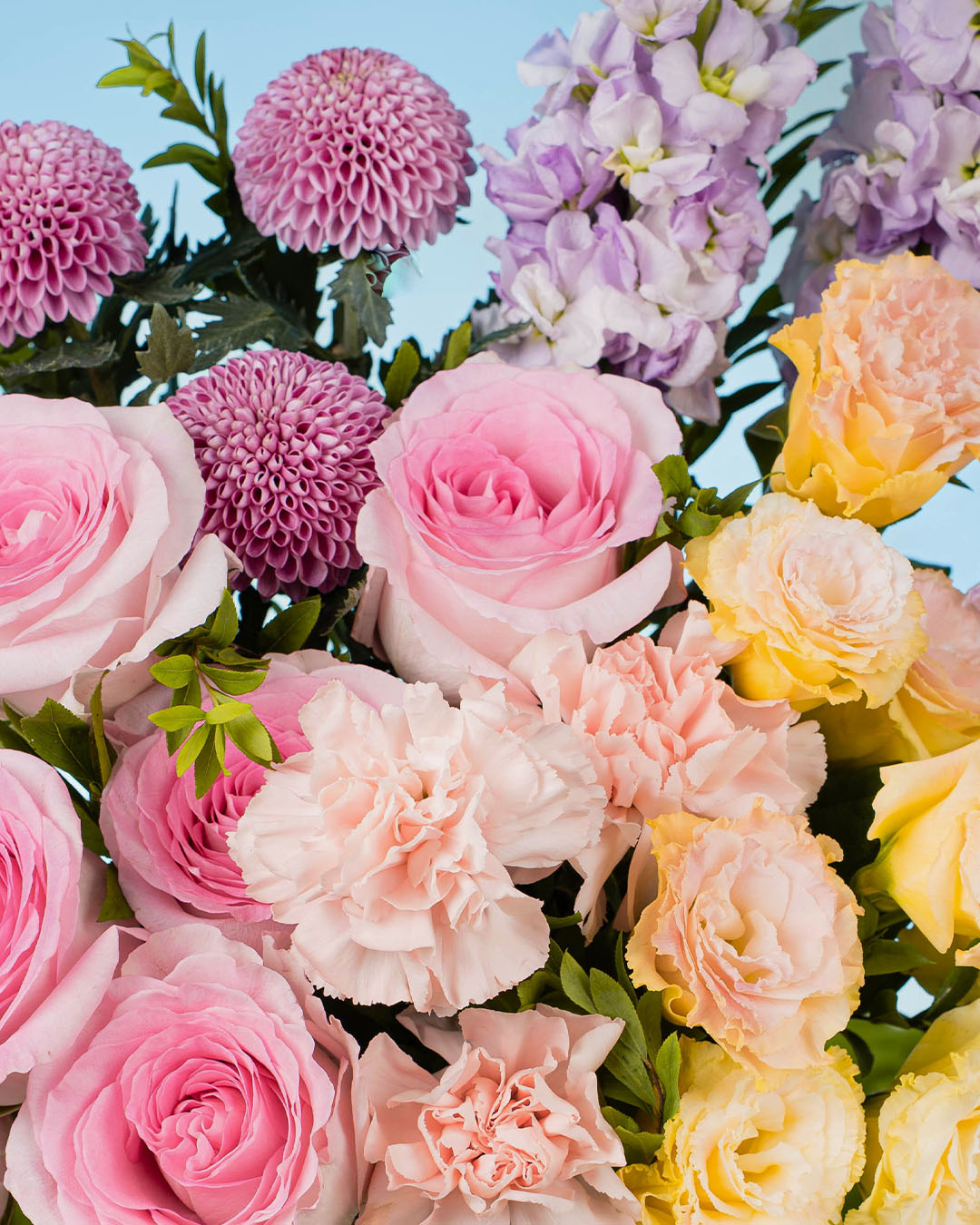 bloomthis-hat-box-spring-whimsy-haruka-pink-rose-flower-box-1080x1350-05