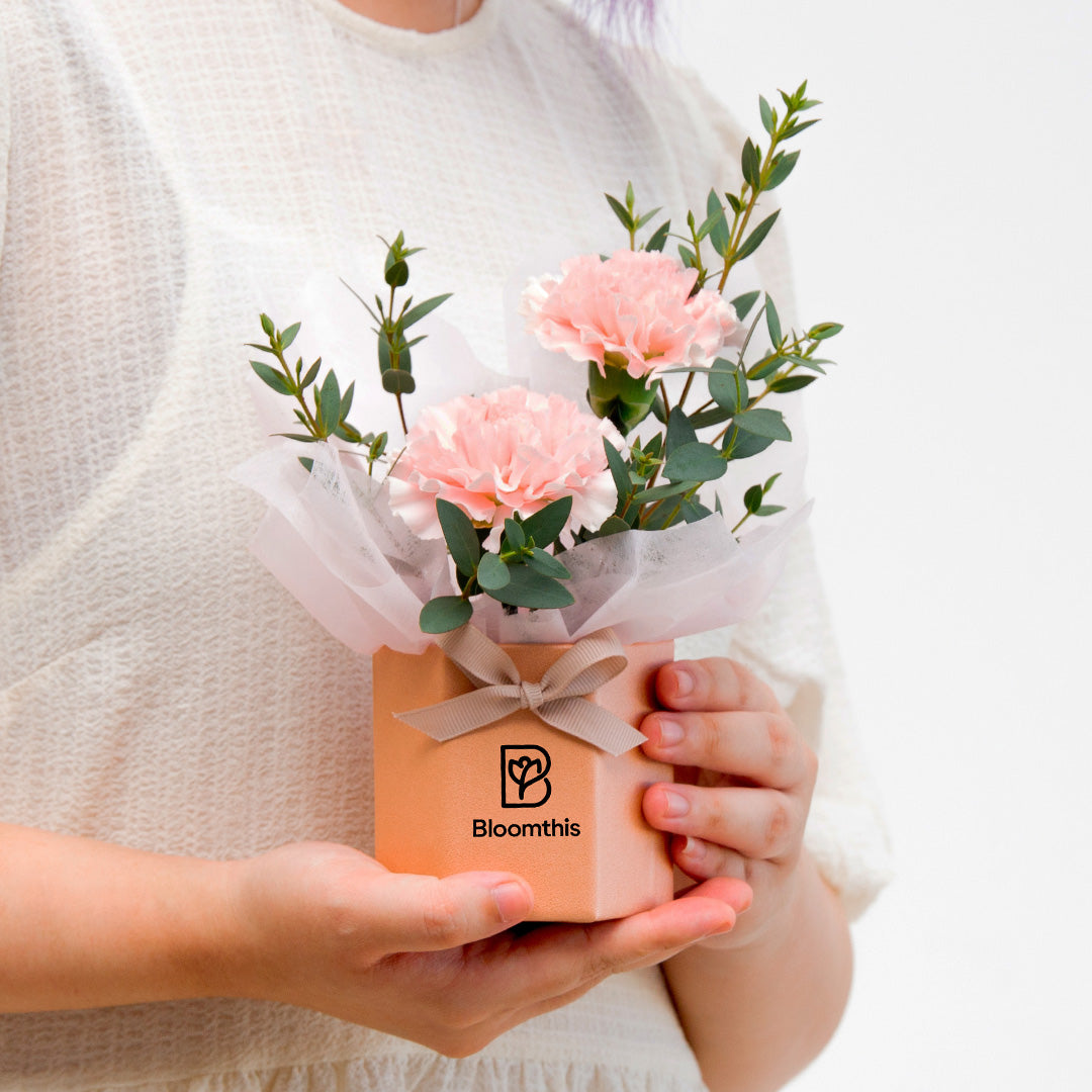 bloomthis-hat-box-waverly-carnation-mini-flower-box-1080x1080-02_0b1aef33-548e-48a3-a439-d7bcc3ffb983