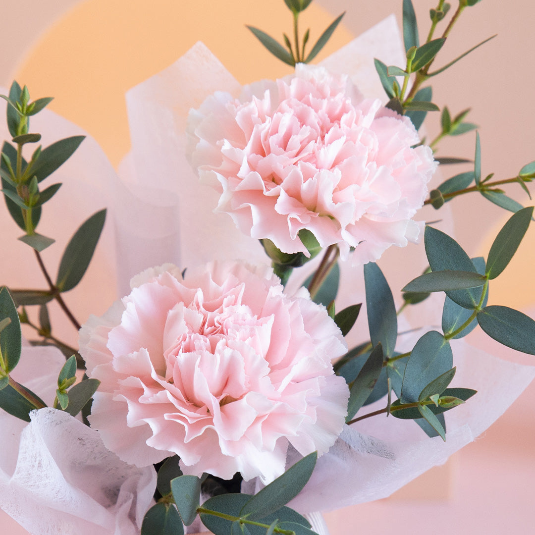 bloomthis-hat-box-waverly-carnation-mini-flower-box-1080x1080-05_27209eba-e446-406c-9846-8ae28de84327