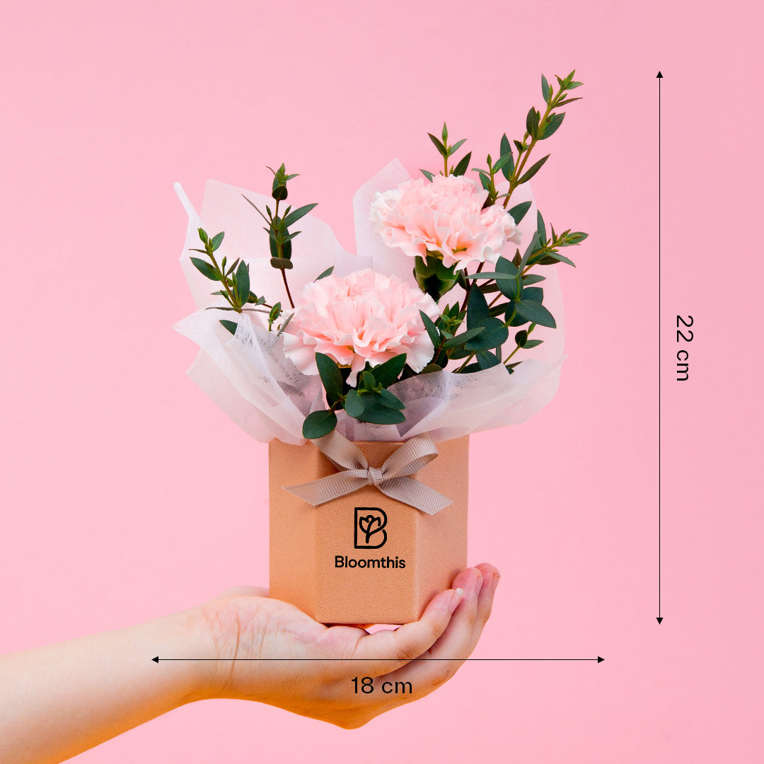 bloomthis-hat-box-waverly-carnation-mini-flower-box-1080x1080-06_42067e68-f422-43cf-9a42-b368d9403263
